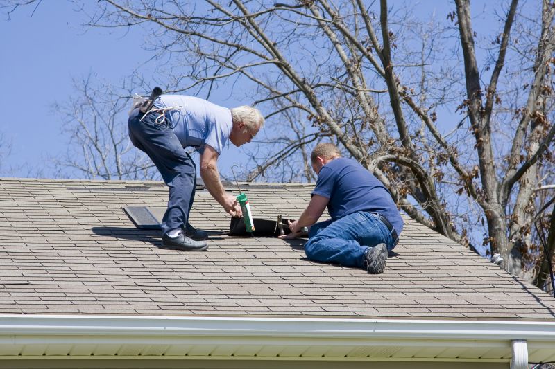 Asphalt Roof Repair Image 1